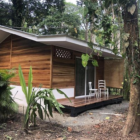 Ita Tiny House Disfruta&Trabaja en el Caribe! Apartment Puerto Viejo de Talamanca Bagian luar foto